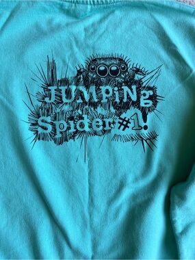 Light turquoise Graphic crewneck sweatshirt with 'Jumping Spider #1' Print
